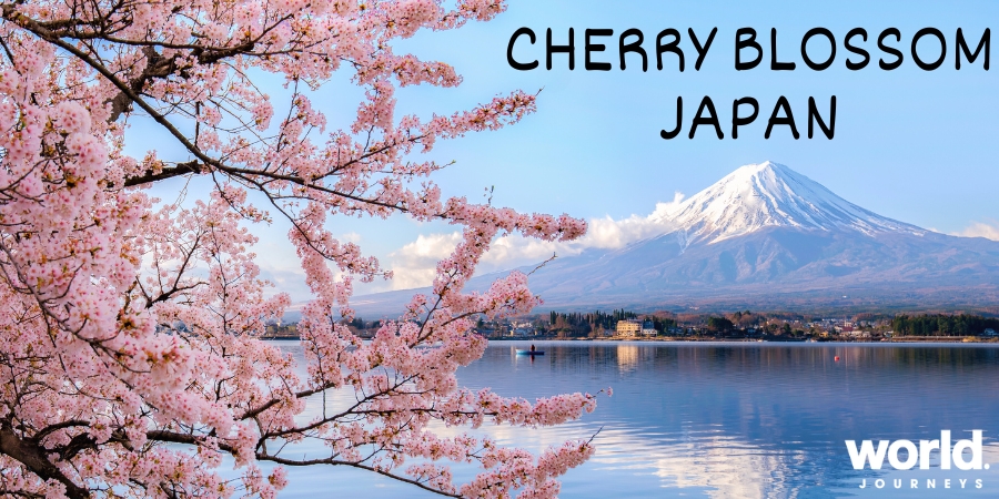 Cherry Blossom Japan with World Journeys