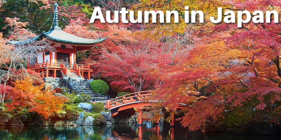 Japan in Autumn 2025 – Registration of Interest