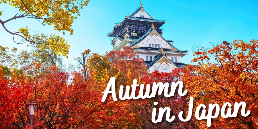 Autumn in Japan – Escorted Tour