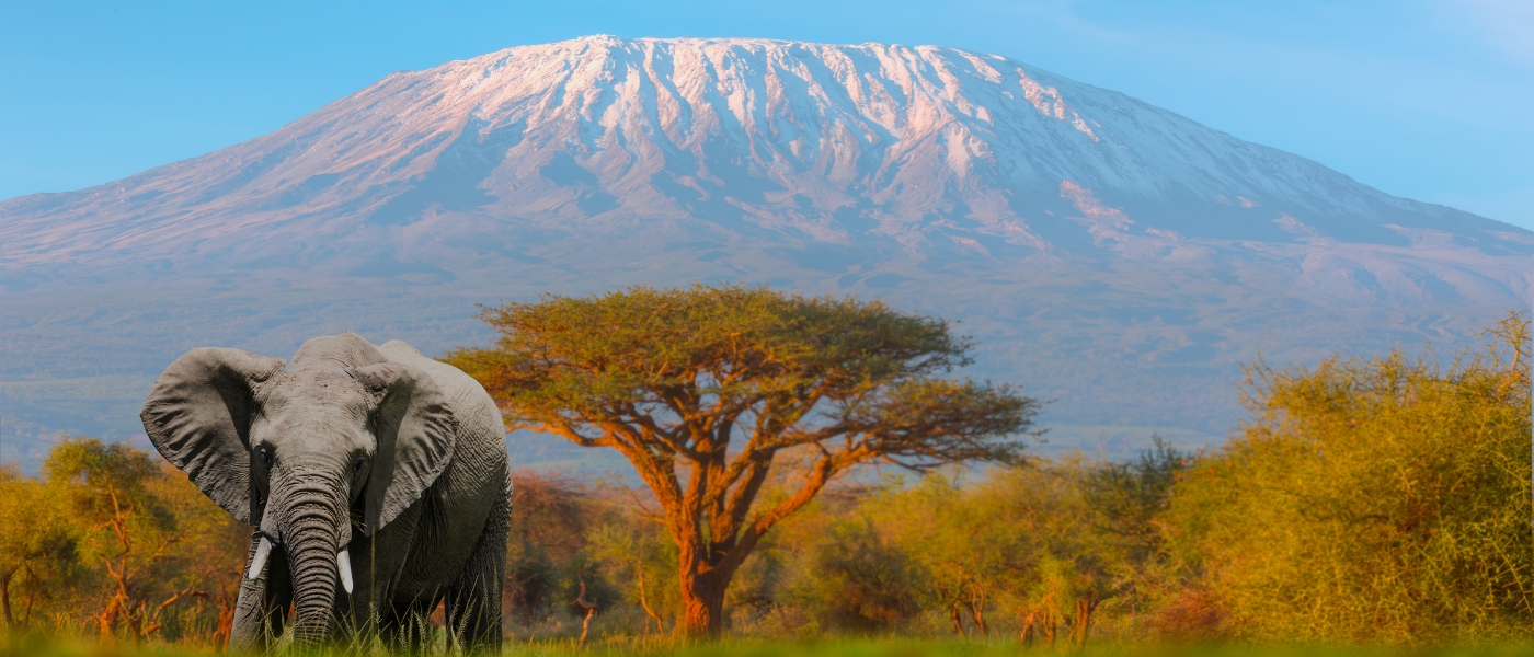 Mount Kilimanjaro, Tanzania